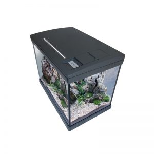 NEWA MIRABELLO 30