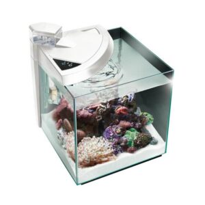 NEWA MORE 50 REEF